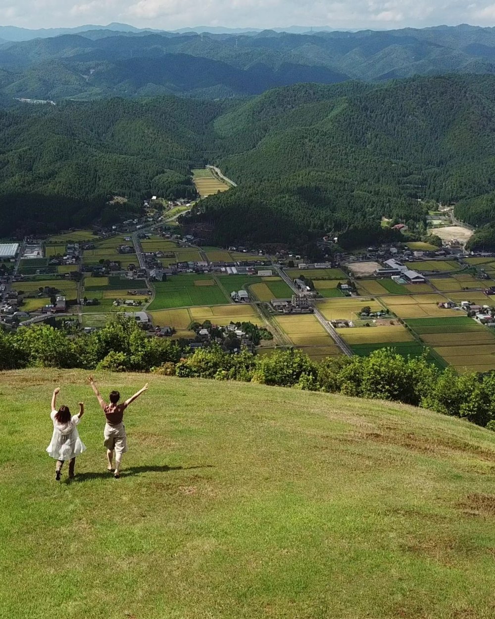 京北の山、木の伐り出し体験